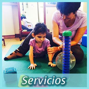 Servicios